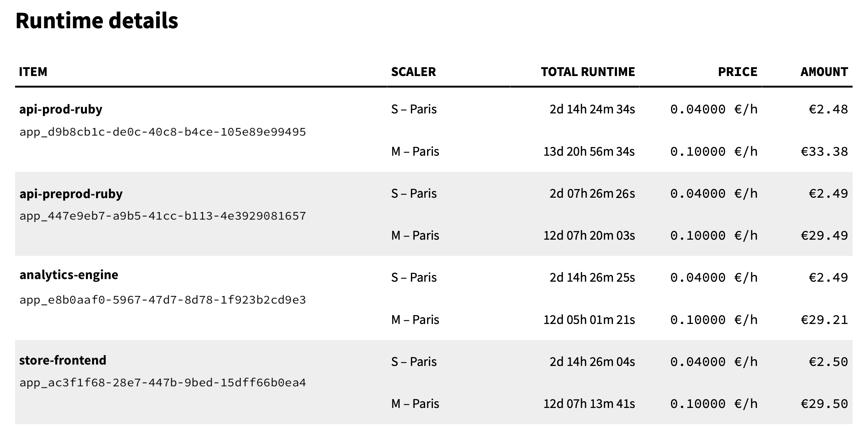 The third section of the invoice Runtime section on invoice